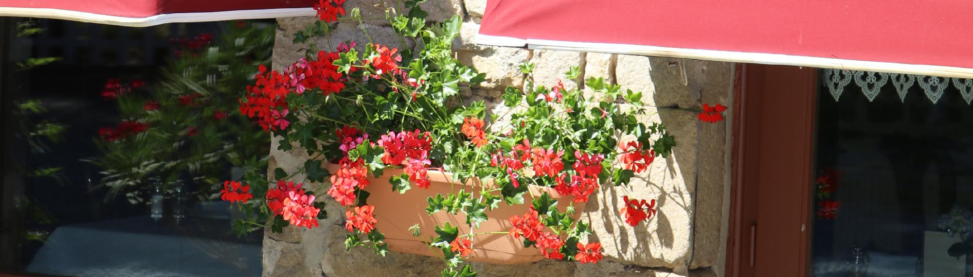 Restaurant fleuri et traditionnel de la Blanche Hermine près de Dinan