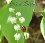 Restaurant et Relais de La Blanche Hermine à Plélan-le-Petit